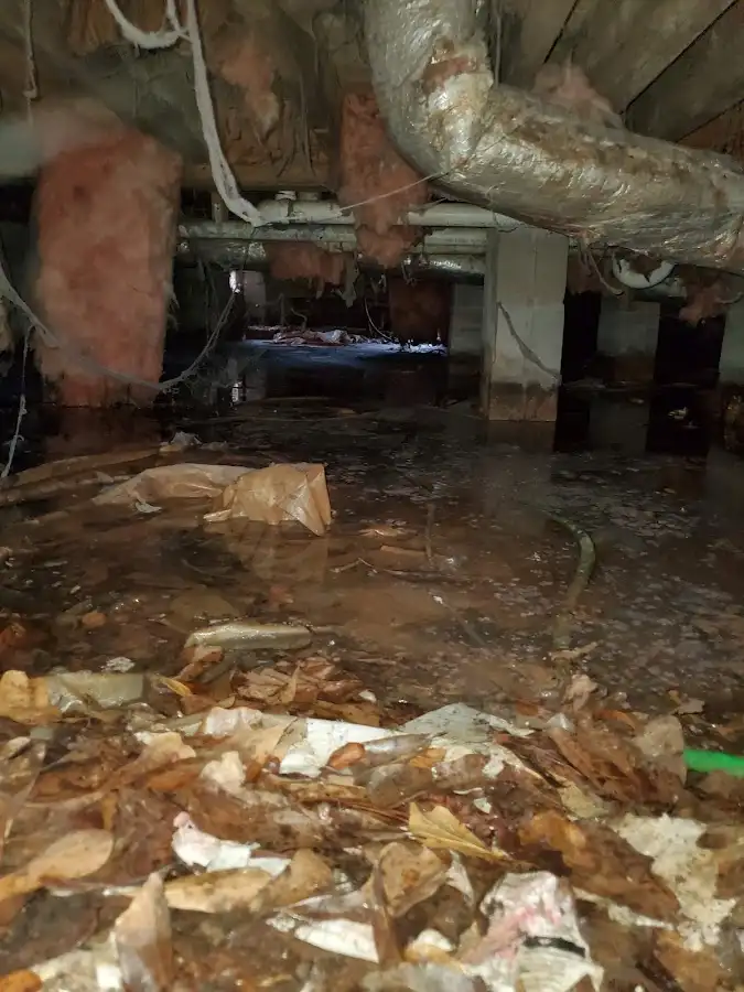 Crawl space flood assessment for Leak Detection & Repair in Kula