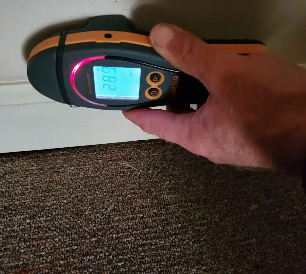 Moisture detection at baseboard during Sewage Cleanup & Sanitation in Kula